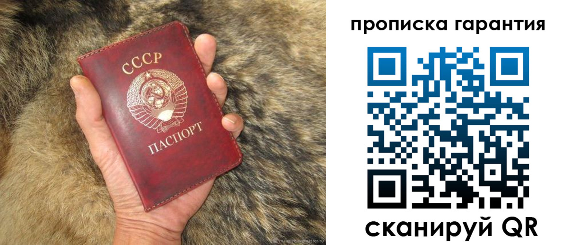 прописка паспорт в Краснодаре